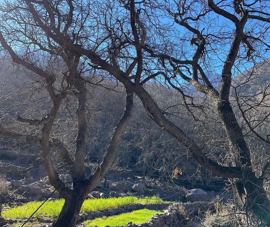 Ourika Valley: Quad Biking,Camel Riding,and Hiking Adventure - Key points to know before booking
