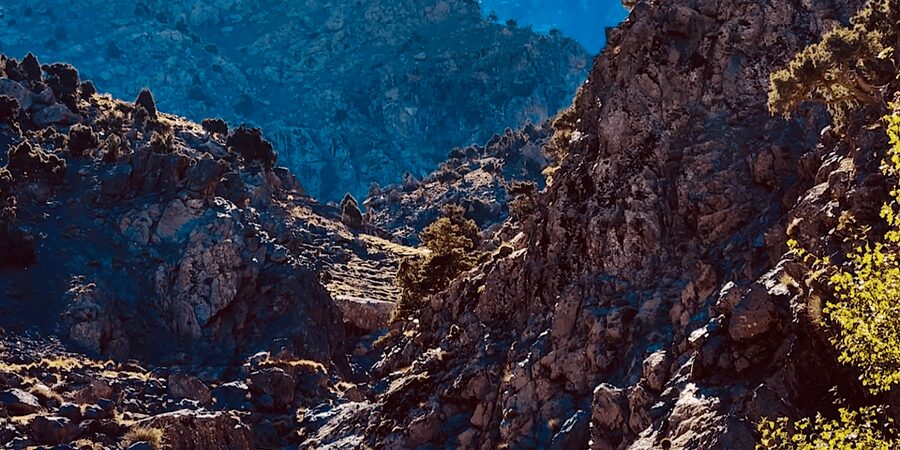 Ourika Valley: Quad Biking,Camel Riding,and Hiking Adventure - Lunch beside the river, with one important catch