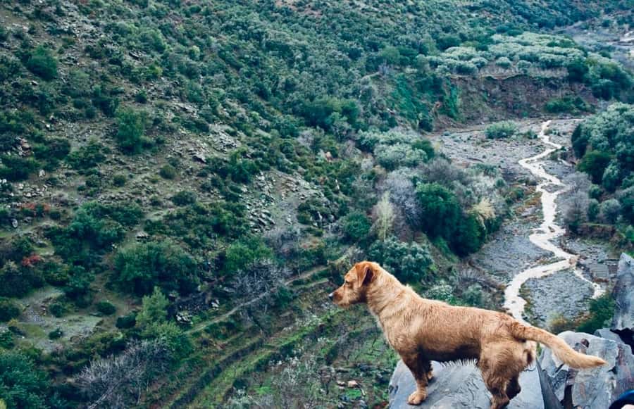 Ourika Valley: Quad Biking,Camel Riding,and Hiking Adventure - A camel ride at the end of the day