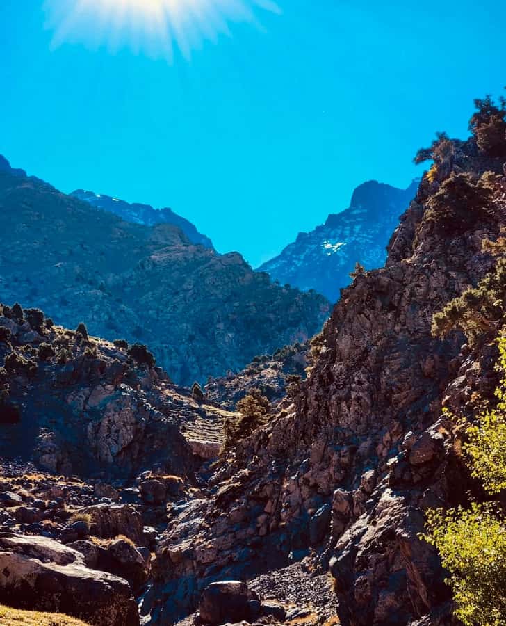 Ourika Valley: Quad Biking,Camel Riding,and Hiking Adventure - Transport, group size, and the pace of the day