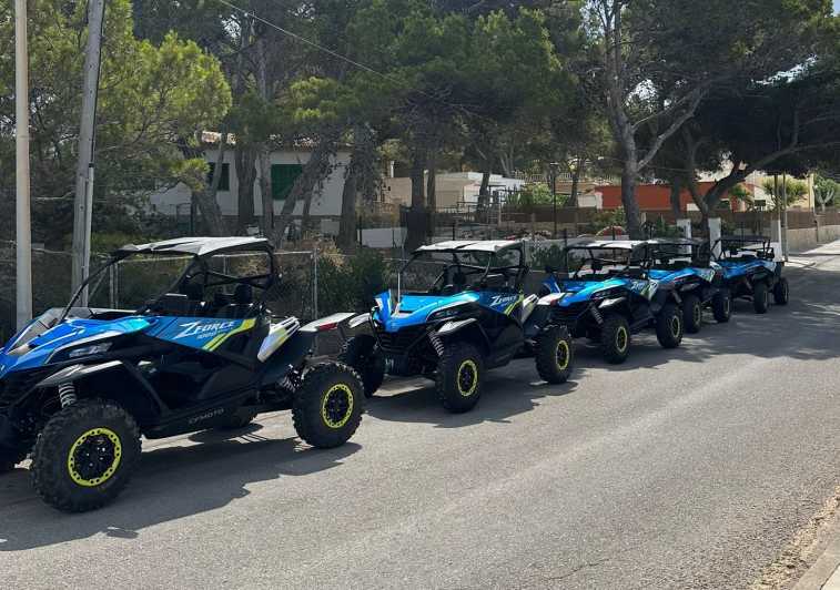 Paguera: 2 Hour Buggy Tour - Starting at Carrer de La Savina 8 in Paguera