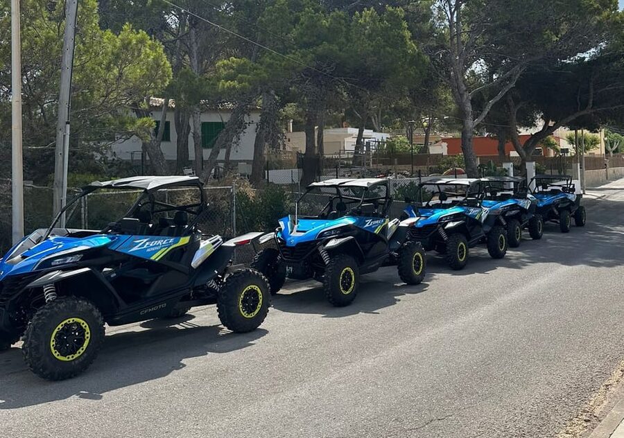Paguera: 2 Hour Buggy Tour - Malgrats Island: The First Photo Stop
