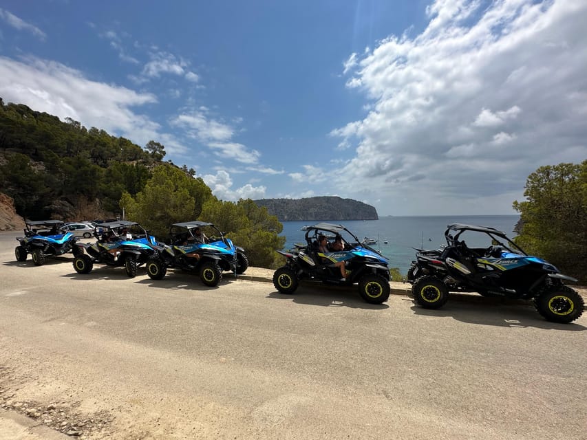 Paguera: 2 Hour Buggy Tour - Cap Falco and the Second Viewpoint
