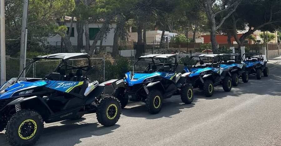 Paguera: 2 Hour Buggy Tour - Port of Andratx and the Return Through Camp de Mar