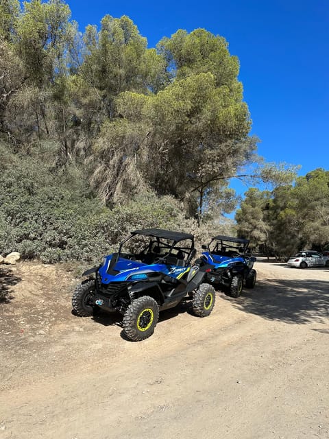 Paguera: 2 Hour Buggy Tour - Following the Coast of Calviá
