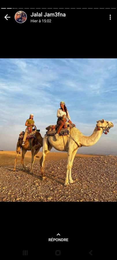Palmeraie Marrakech Camel Ride & Quad Bike Package Exprience - Why the Palmeraie makes a good half-day escape