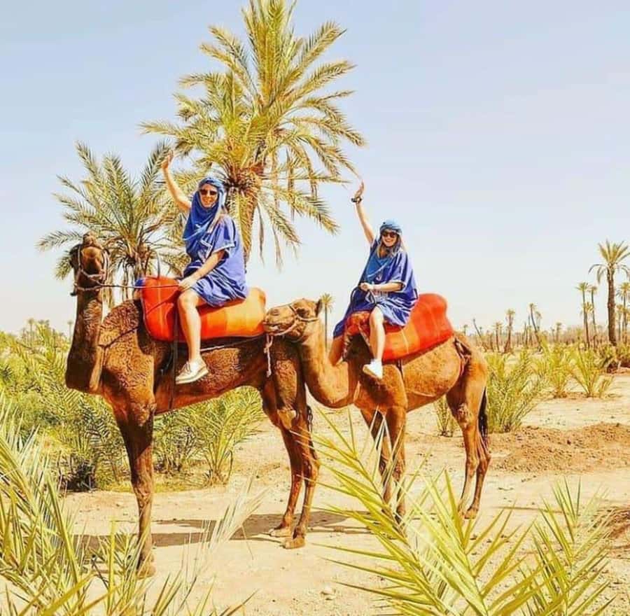 Palmeraie Marrakech Camel Ride & Quad Bike Package Exprience - The 15-minute safety briefing and quad setup