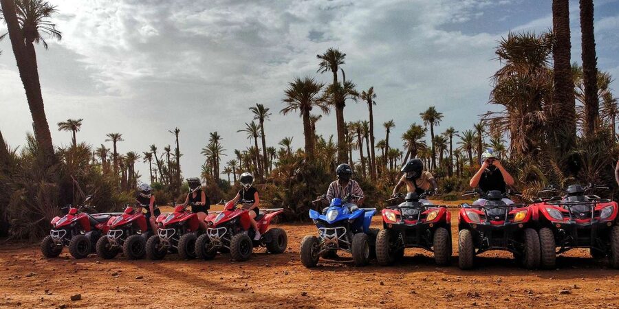 Palmeraie Marrakech Camel Ride & Quad Bike Package Exprience - Mint tea, olives, and a pause with local people