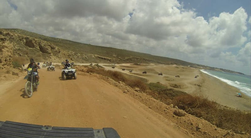 Paphos: Buggy Safari to Akamas Peninsula with Lunch - Lara Bay, Turtle Bay, and time beside the water