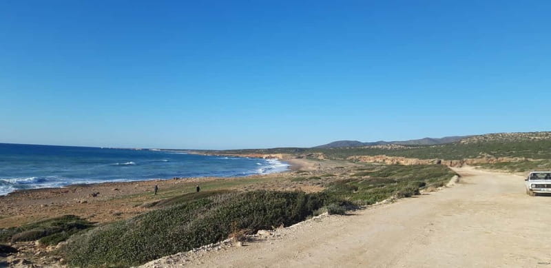 Paphos: Buggy Safari to Akamas Peninsula with Lunch - Lunch with meat and vegetarian choices