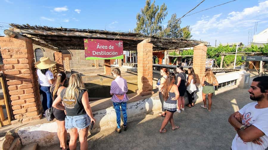 Paracas or Pisco: Private Huacachina Oasis Tour & Buggy Ride - Key points to know before booking