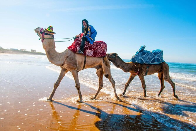 Paradise Valley & Desert Dunes with Camel Ride and quad bike - The drive to Paradise Valley