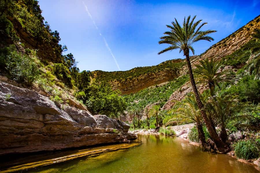 Paradise Valley & Desert Dunes with Camel Ride and quad bike - Who will enjoy this day most?
