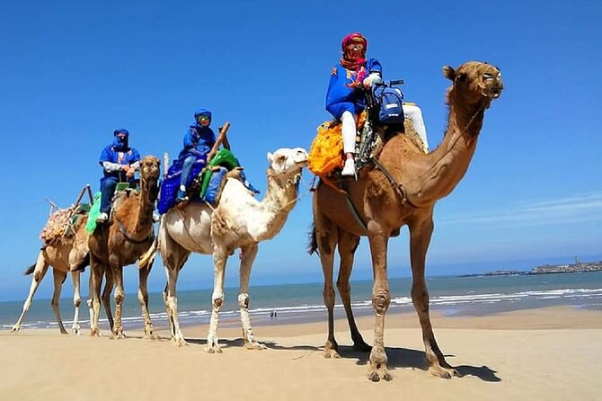 Paradise Valley & Desert Dunes with Camel Ride and quad bike - Walking among the pools at Paradise Valley
