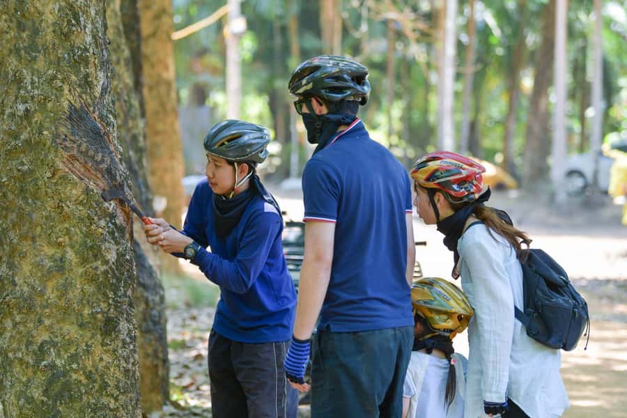 Phuket: ATV Mangrove Jungle & Hidden Beach Tour - Optional rope bridge and flying fox activity