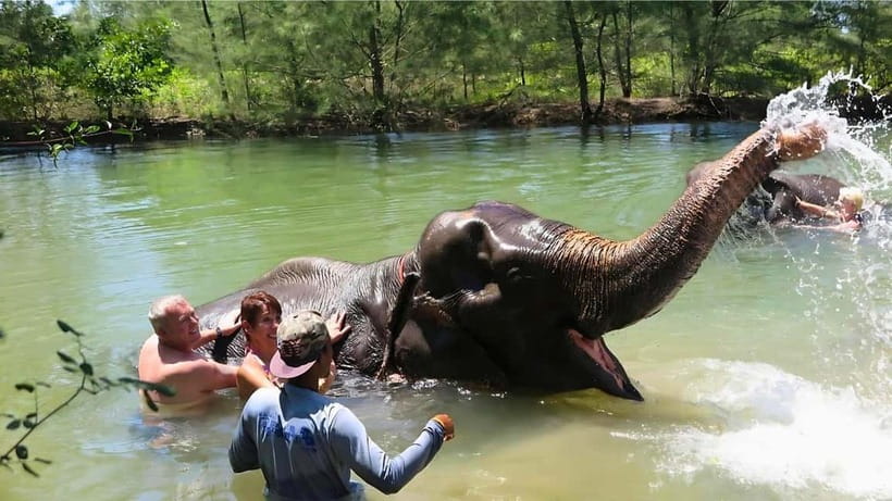 Phuket: Bamboo Rafting & ATV Ride (Optional) - A gentle 40-minute bamboo rafting ride