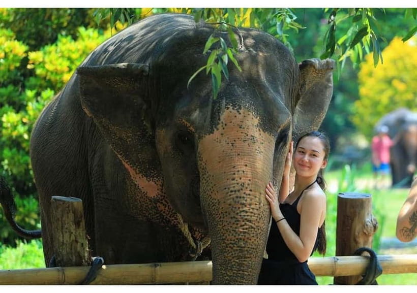 Phuket: Bamboo Rafting & ATV Ride (Optional) - Lunch at Songpreak, with simple expectations