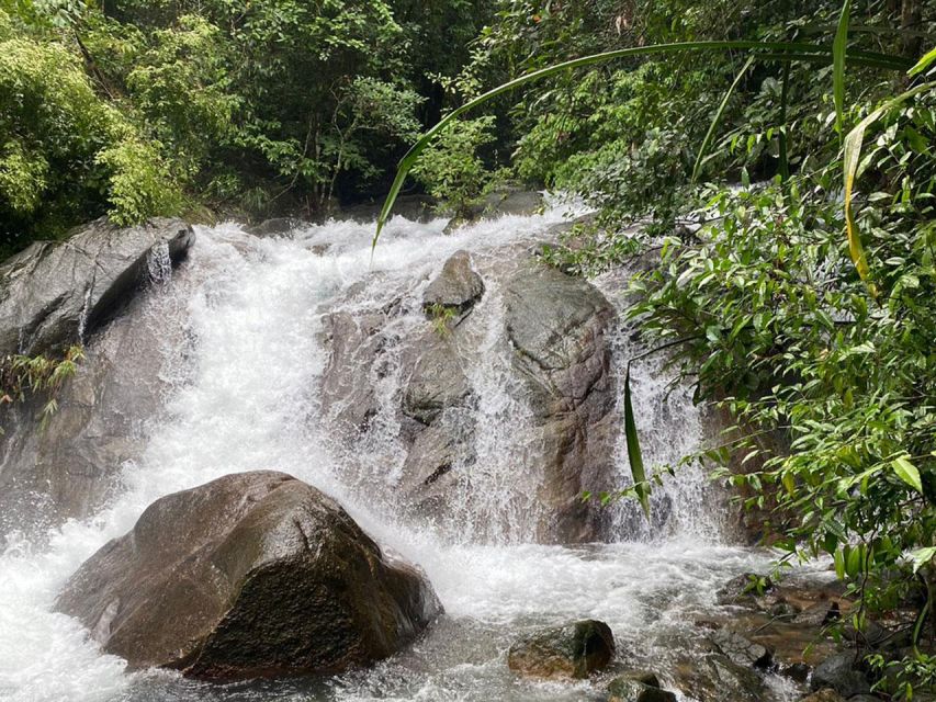 Phuket: Bamboo Rafting, Monkey Cave, and ATV Option - The elephant issue you should not ignore