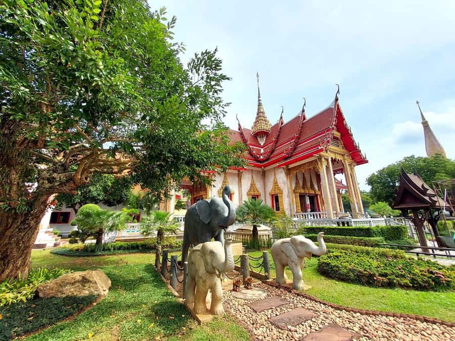 Phuket City Tour with ATV Adventure and Elephant Feeding - What $112 buys you in one packed day