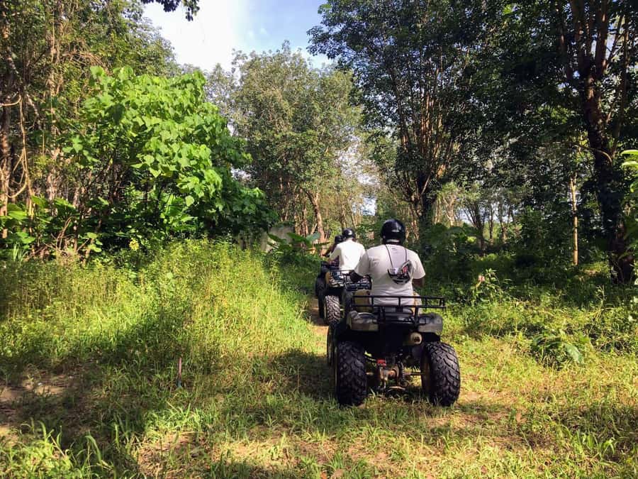 Phuket City Tour with ATV Adventure and Elephant Feeding - Phuket Old Town closes the day