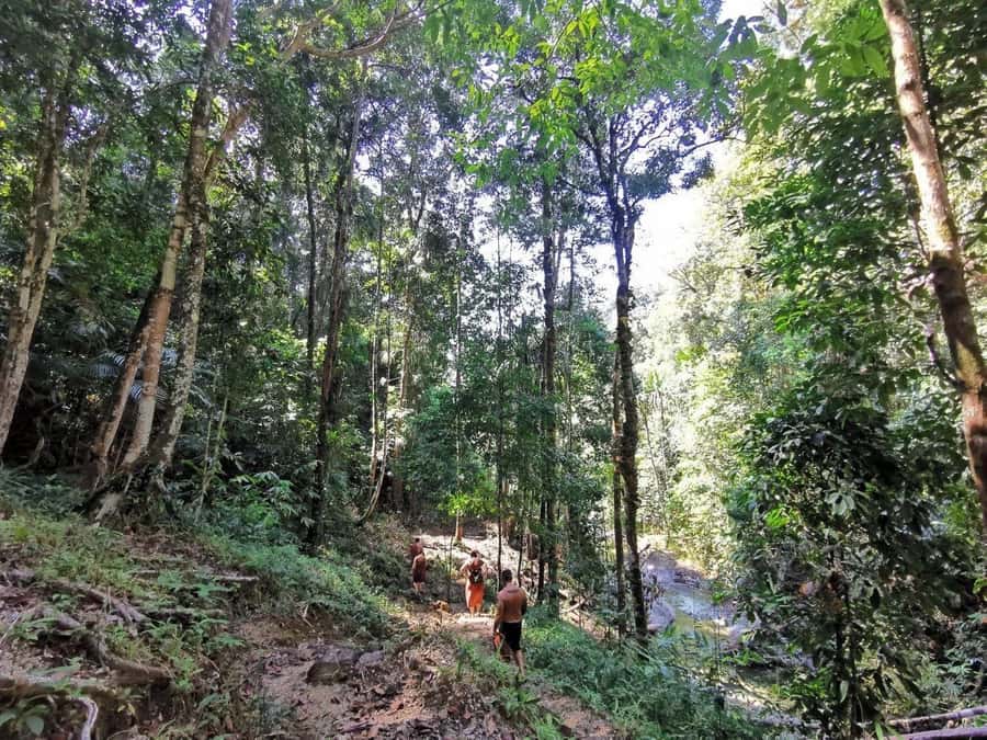 Phuket: Monkey Cave, Water Rafting, Zipline with ATV Option - Lunch at the activity camp