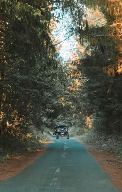 Plitvice Lakes National Park - Inspiration Buggy Tour - Driving, comfort, and who should book