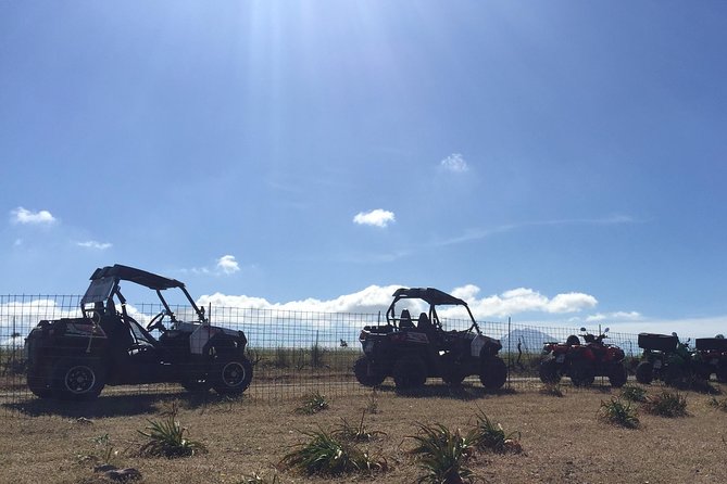 Polaris Buggy 4-Hour Safari from Rethymno Town - Morning or afternoon: choosing the better departure