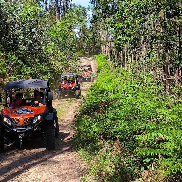 Pombal- Sicó: 60 minutes OFF-ROAD Buggy Ride - What the one-hour route feels like