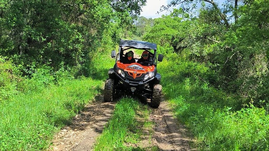 Pombal- Sicó: 60 minutes OFF-ROAD Buggy Ride - Cascata da Rapoza and the appeal of water