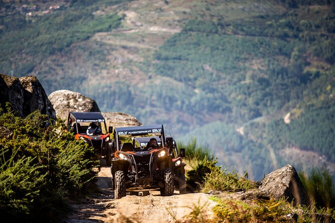 Ponte de Lima Guided Buggy Tour - Key points to know before booking