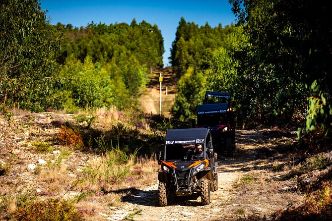 Ponte de Lima Guided Buggy Tour - The guide and the feel of the ride