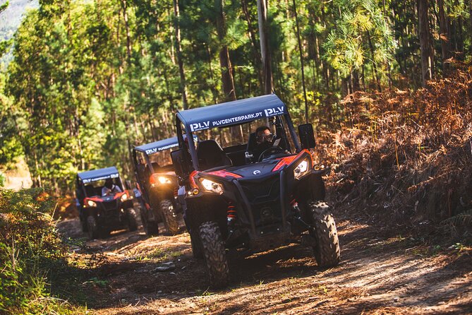Ponte de Lima Guided Buggy Tour - Who should book this experience?
