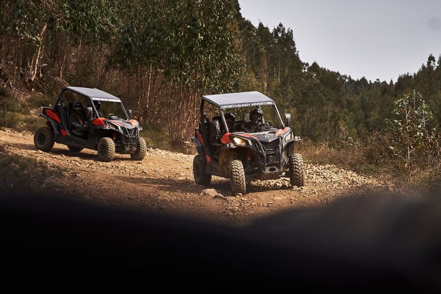 Porto: Dirt and Dust Tour by Oporto Buggy - Should you book the Dirt and Dust Tour?