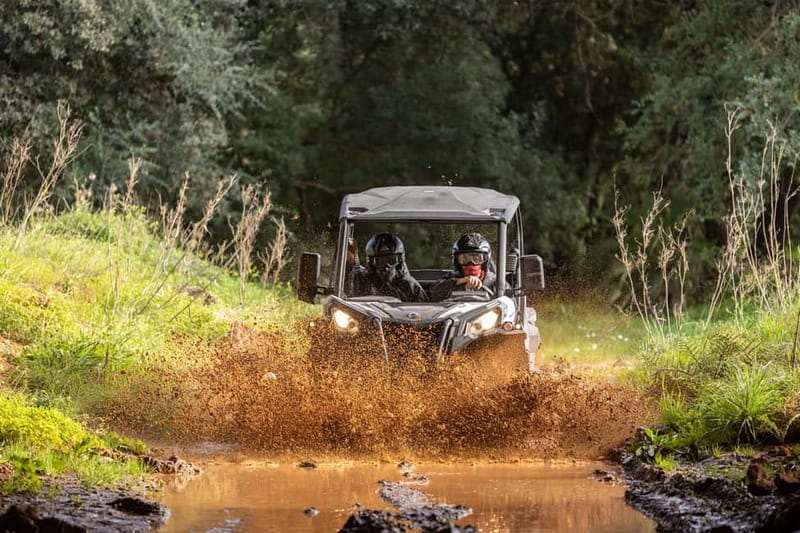 Porto: Dirt and Dust Tour by Oporto Buggy - From Baltar to the Rally Shakedown