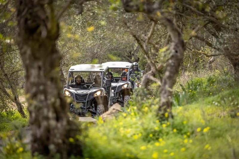 Porto: Dirt and Dust Tour by Oporto Buggy - Driving through the Parque Natural das Serras do Porto