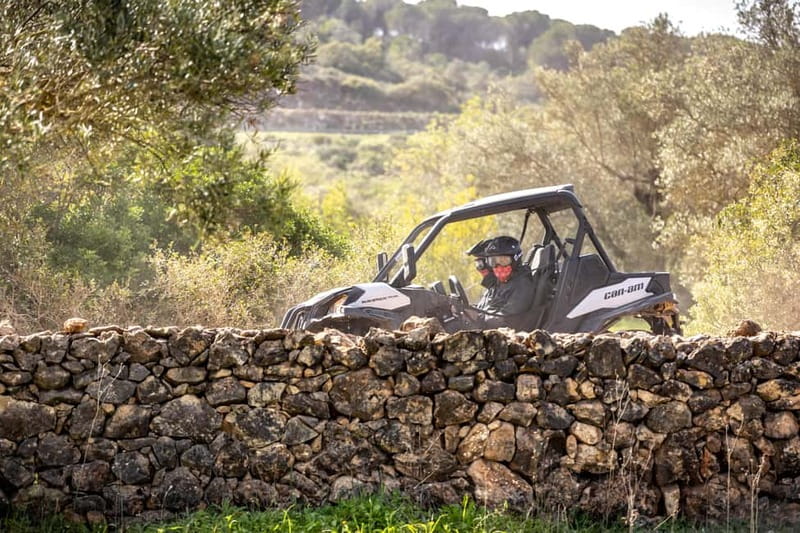 Porto: Dirt and Dust Tour by Oporto Buggy - What the praise tells you