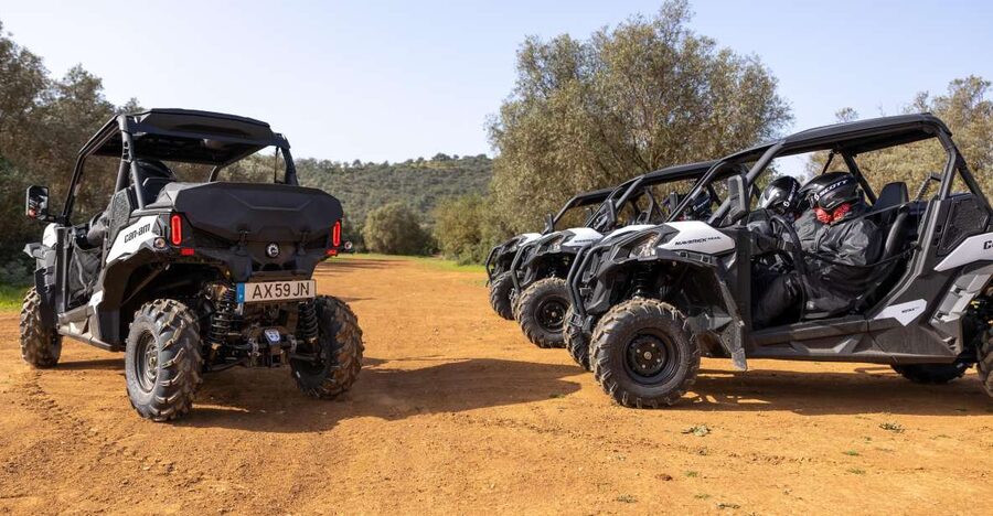 Porto Santo: 180 Minutes Off-Road Buggy Tour - Key points at a glance
