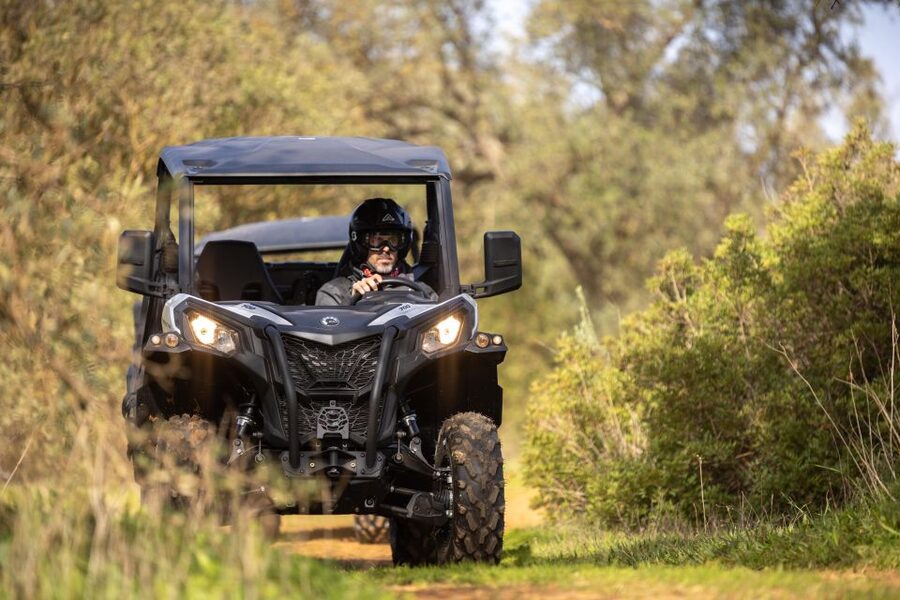Porto Santo: 180 Minutes Off-Road Buggy Tour - Price, group size, and real value