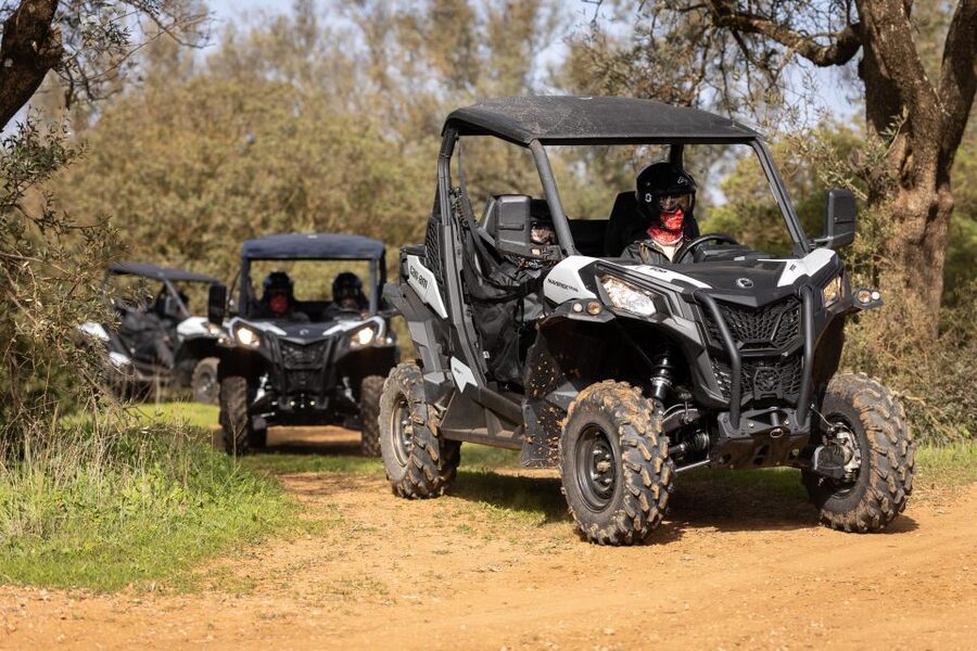 Porto Santo: 180 Minutes Off-Road Buggy Tour - Miradouro das Flores and the final panorama