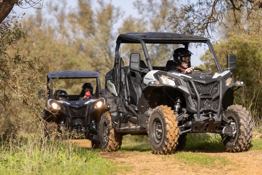 Porto Santo: 180 Minutes Off-Road Buggy Tour - What the guides add to the experience