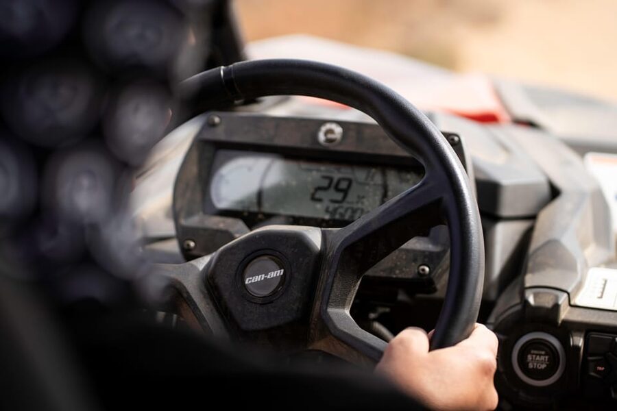 Porto Santo: 90 Minutes Off-Road Buggy Tour - Who will enjoy it most