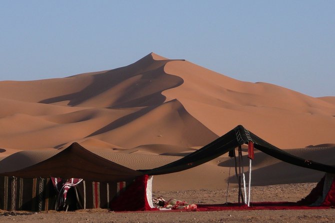 Premium Full-Day Safari, Dune Bash, Camel Ride and BBQ Meal in Desert Camp - What makes this desert trip worth considering