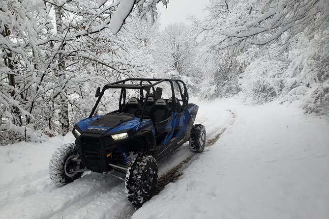Private 1-Hour Quad or Buggy Safari in Borovets - A Fast Ride Into the Rila Mountains