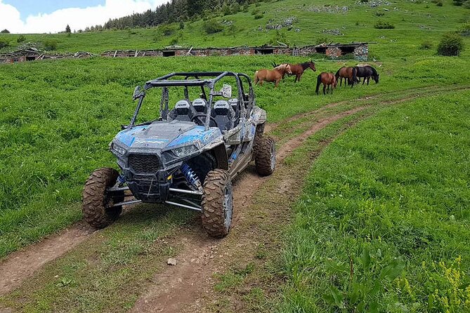 Private 1-Hour Quad or Buggy Safari in Borovets - Is $83.08 Good Value?