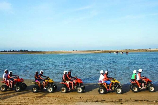 Private 3h00 quad ride on the island of Djerba - Starting among olive trees and palms