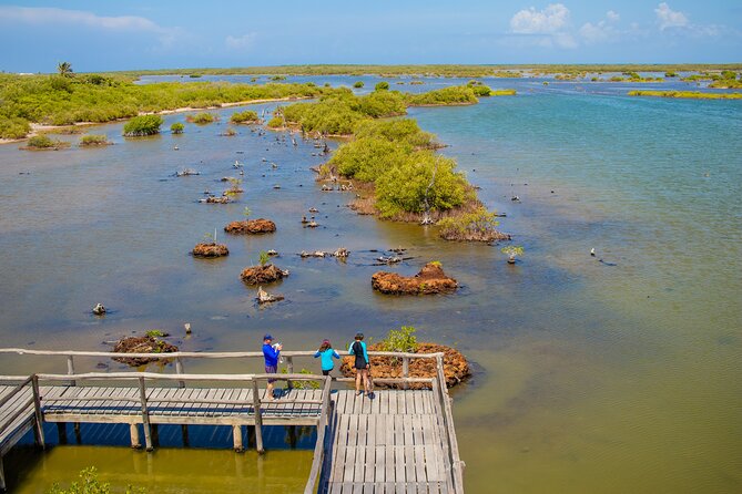 Private Buggy Tour and Punta Sur Park: All-Inclusive - The buggy question: fun, open-air, and worth checking carefully