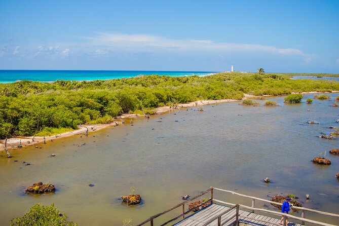 Private Buggy Tour and Punta Sur Park: All-Inclusive - Timing, pickup, and cruise-day planning