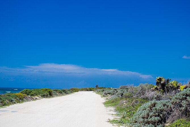Private Buggy Tour and Punta Sur Park: All-Inclusive - Punta Sur: crocodiles, lighthouse views, and open coast