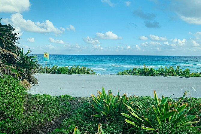 Private Buggy Tour in Cozumel, Snorkel & Lunch: All Inclusive - Skyreef Beach Club: Shore-Based Snorkeling With a Private Guide