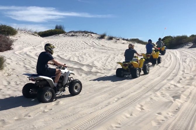 Private Cape Towns West Coastal Tour with Quad Bike - Why the private format matters on the West Coast
